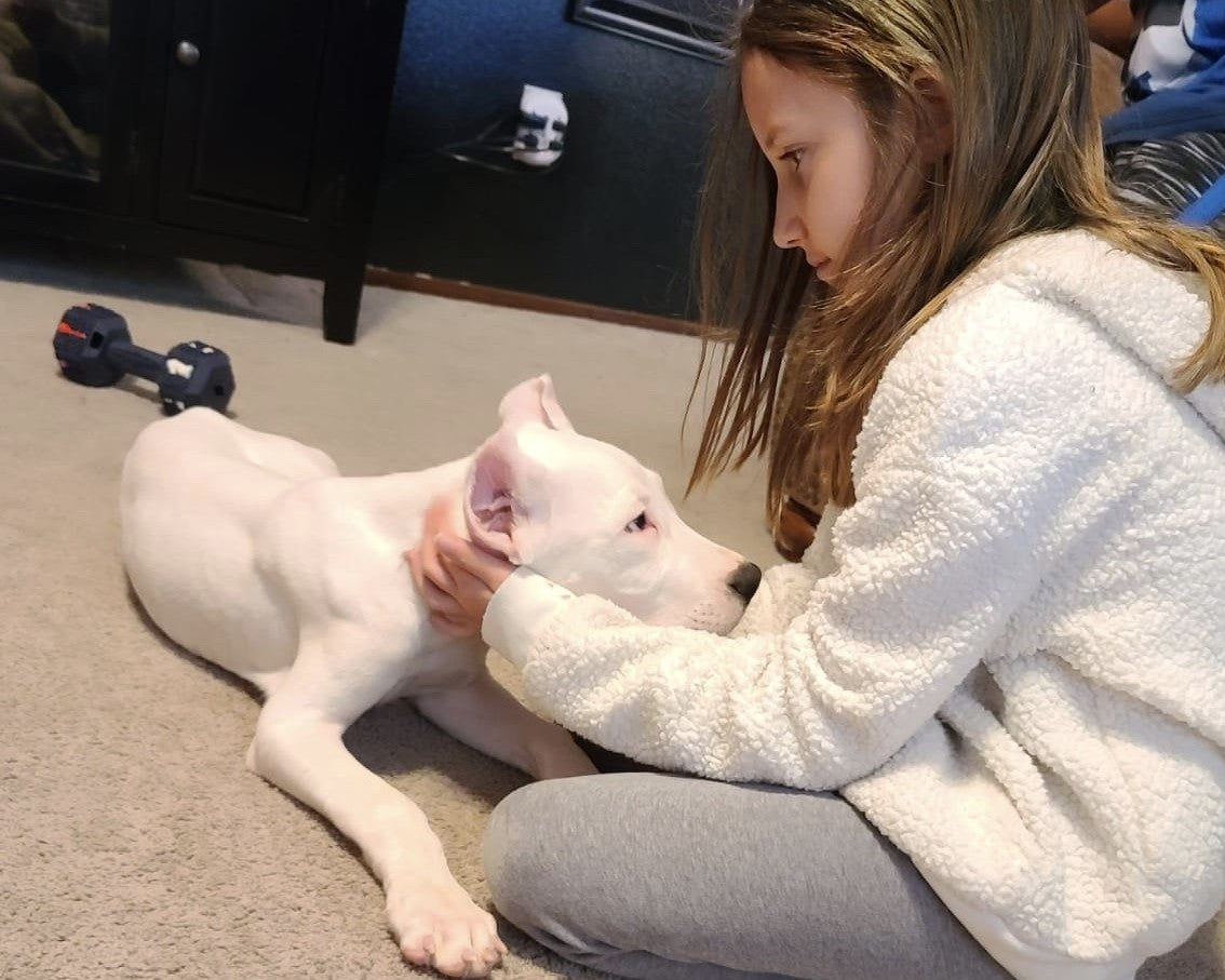 Why Regularly Upgrading Your Pet’s Toys Strengthens the Bond Between Kids and Their Furry Friend