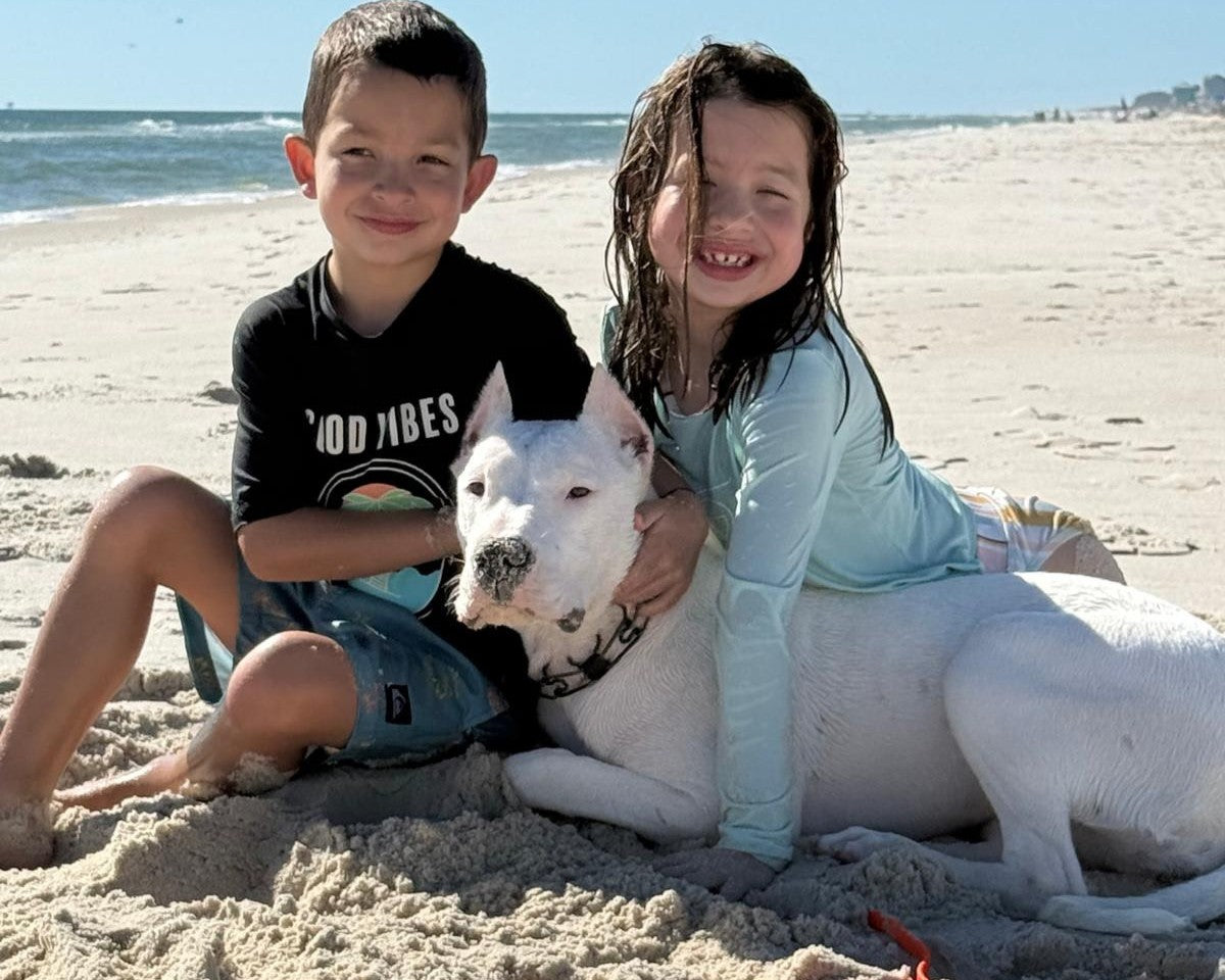 That Beach Day Photo That Broke the Internet: Why This Dogo Argentino With Kids Is Dividing America