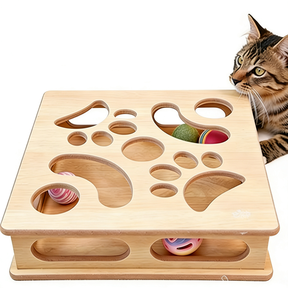 Interactive Catnip Puzzle Box Toy for Indoor Cats