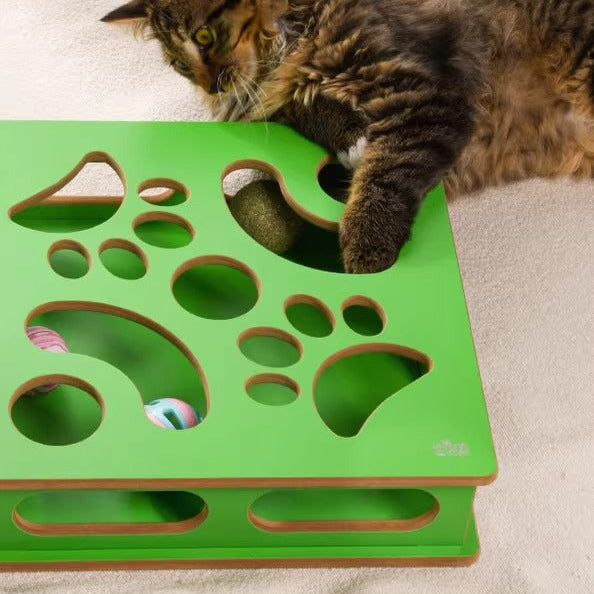 Interactive Catnip Puzzle Box Toy for Indoor Cats