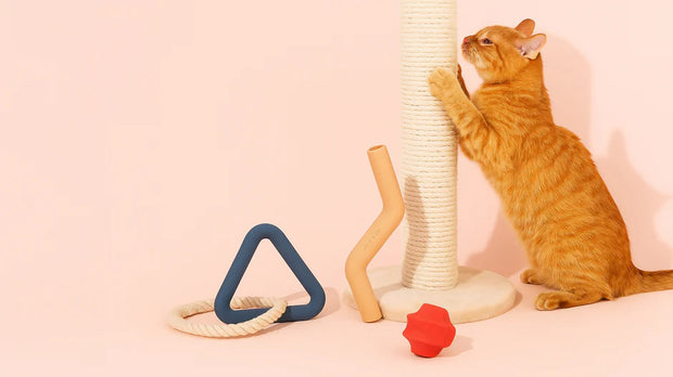 Banner image for: <h2>Playful. Profitable. Purrfect.</h2>