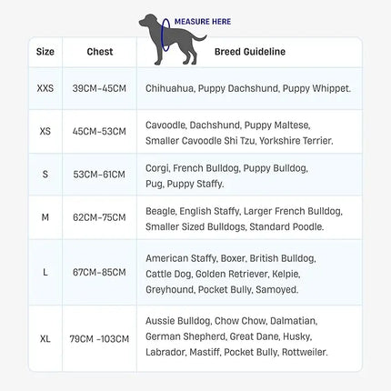 Comfortable No Pull Dog Harness for All Sizes