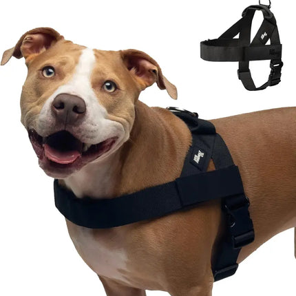 Comfortable No Pull Dog Harness for All Sizes