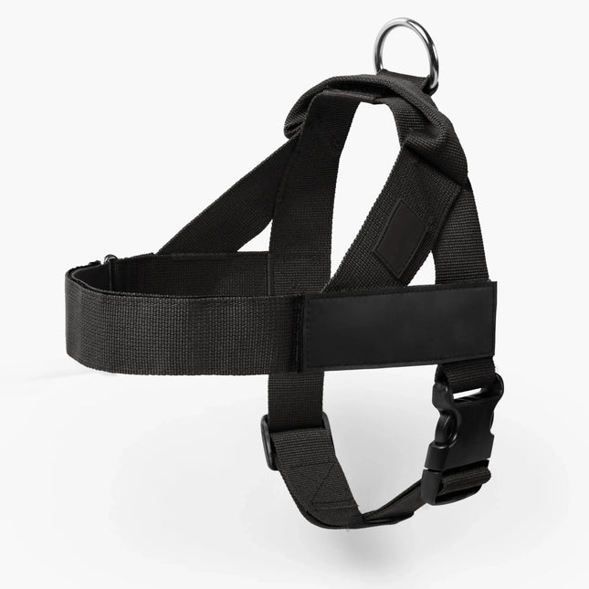 Comfortable No Pull Dog Harness for All Sizes