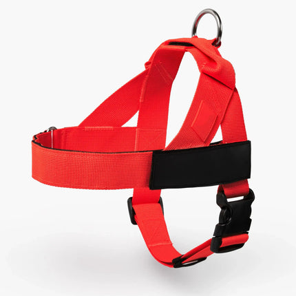 Comfortable No Pull Dog Harness for All Sizes