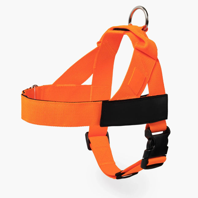Comfortable No Pull Dog Harness for All Sizes