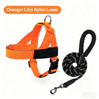 Orange+1.5m leash / XXS
