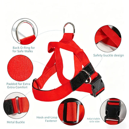 Comfortable No Pull Dog Harness for All Sizes