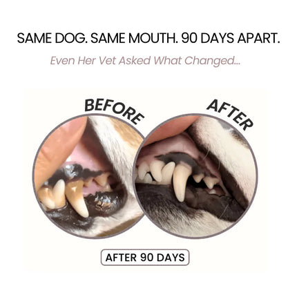 Fight Bad Breath & Support Oral Health with Advanced Dental Spray