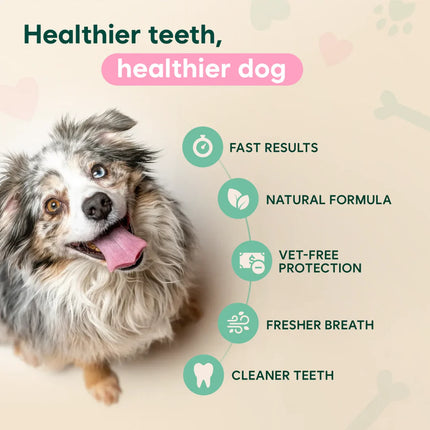 Fight Bad Breath & Support Oral Health with Advanced Dental Spray