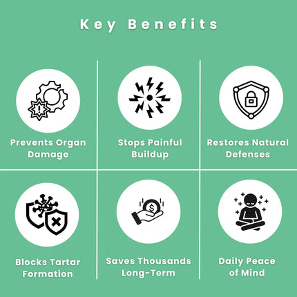 Fight Bad Breath & Support Oral Health with Advanced Dental Spray