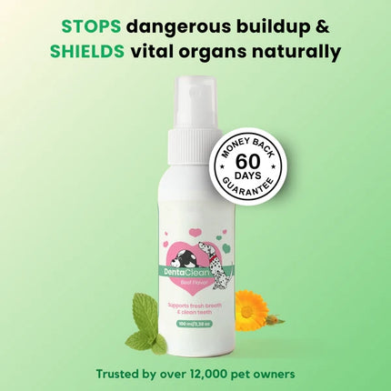 Fight Bad Breath & Support Oral Health with Advanced Dental Spray