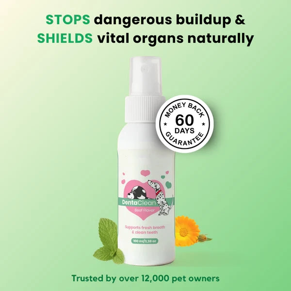 Fight Bad Breath & Support Oral Health with Advanced Dental Spray