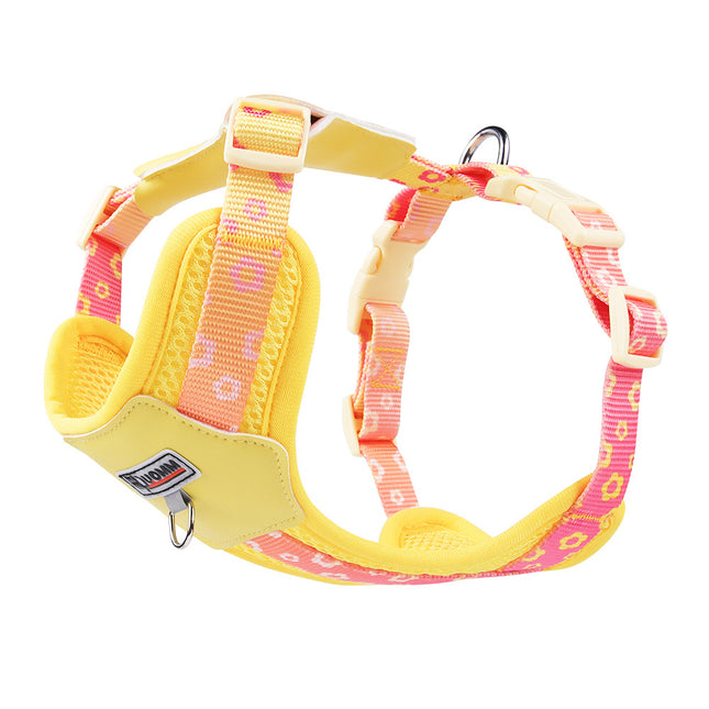 Colorful No Pull Dog Harness and Leash Set for Small Dogs