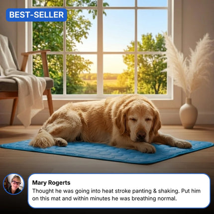 STOP OVERHEATING – RESTORE COOL COMFORT & RELIEF!