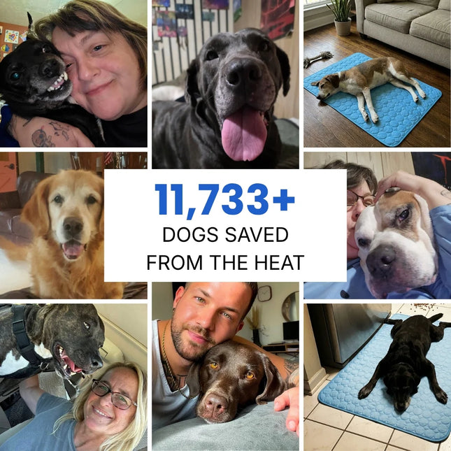 STOP OVERHEATING – RESTORE COOL COMFORT & RELIEF!