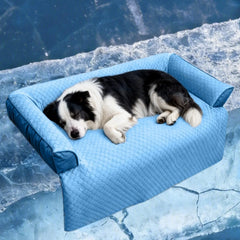 Collection image for: Cat
