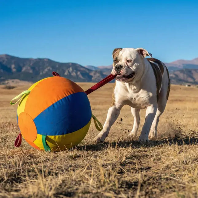 Mewwoo Viral Giant Ball