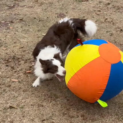 Mewwoo Viral Giant Ball