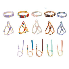 Collection image for: Dog leashes