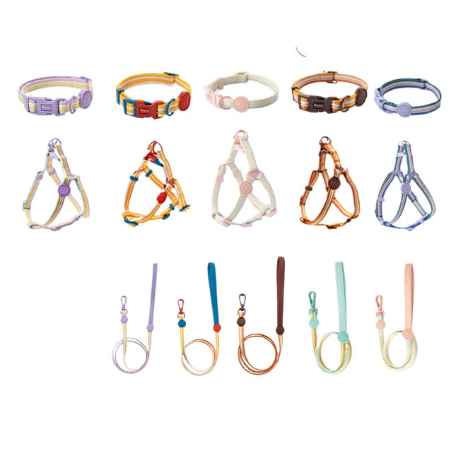 Color Block Dog Harness and Leash Set