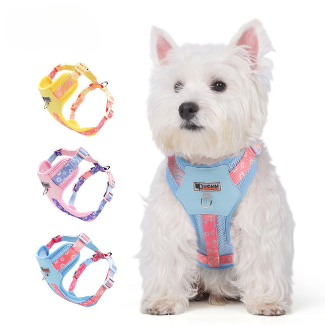Colorful No Pull Dog Harness and Leash Set for Small Dogs