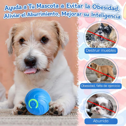 Smart Interactive Rolling Ball Toy for Dogs & Cats