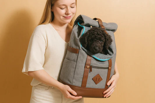 Banner image for: <h2>Dog backpacks for adventures<br/><br/></h2>