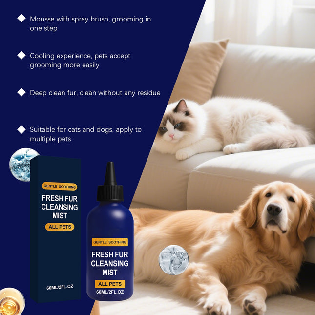 The 10-Minute At-Home Pet Grooming Routine
