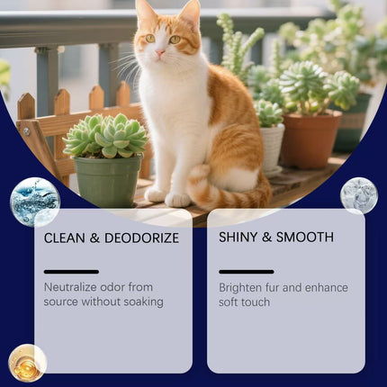 The 10-Minute At-Home Pet Grooming Routine