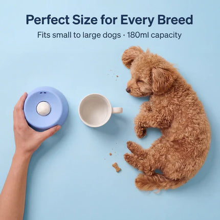 Slow Feeder Lick Bowl for Dogs – Non-Slip Pet Feeding Bowl