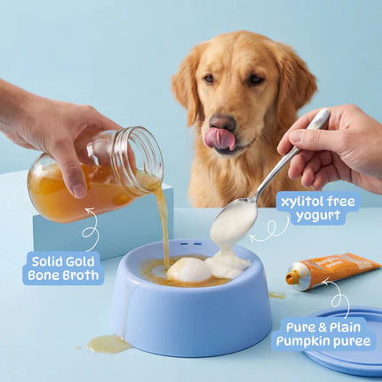 Slow Feeder Lick Bowl for Dogs – Non-Slip Pet Feeding Bowl
