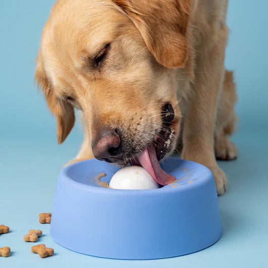 Slow Feeder Lick Bowl for Dogs – Non-Slip Pet Feeding Bowl